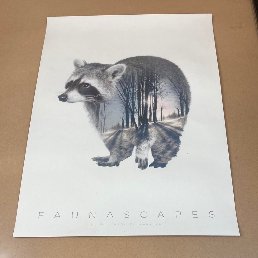 Faunascapes Racoon plakat