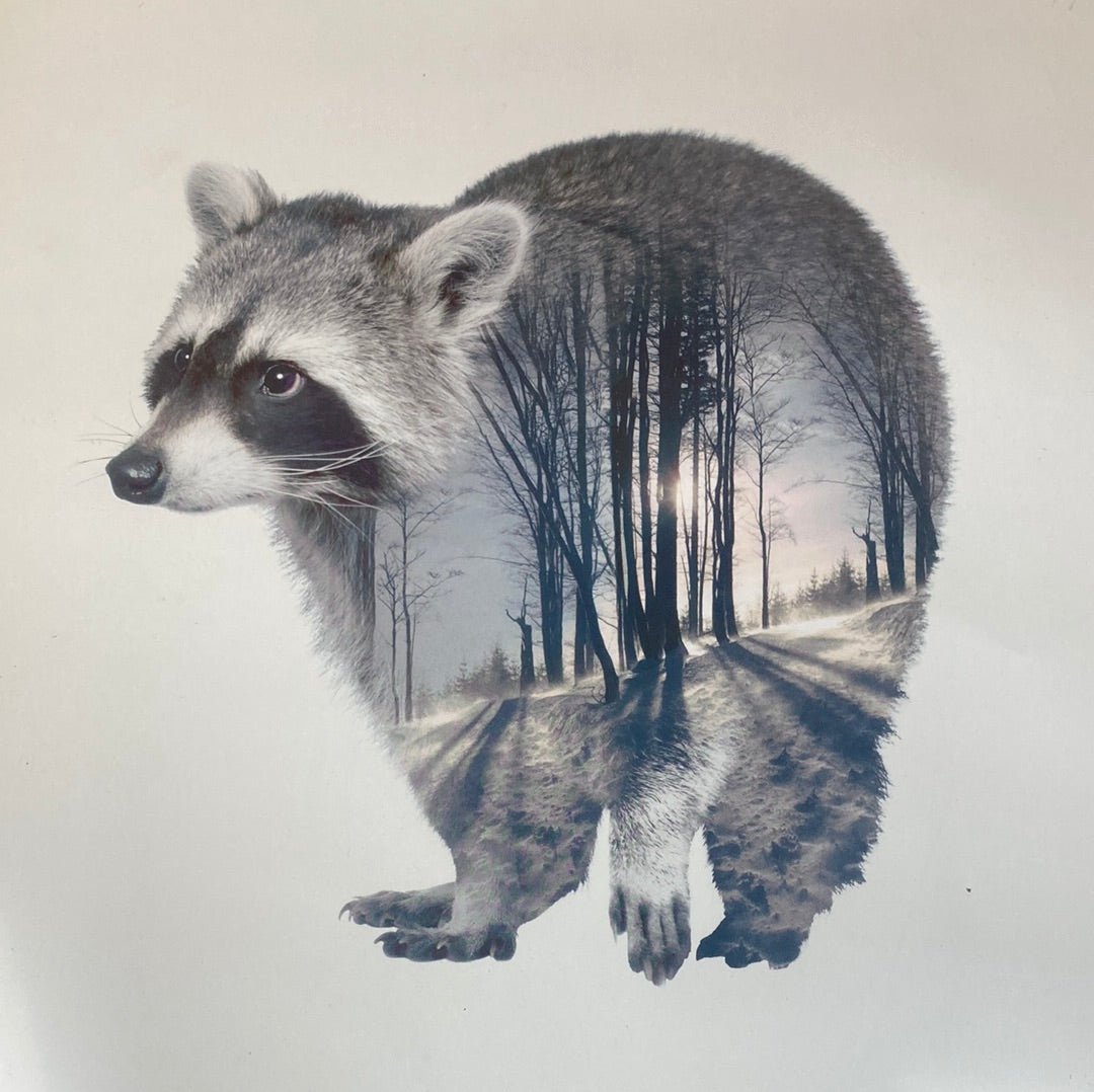 Faunascapes Racoon plakat