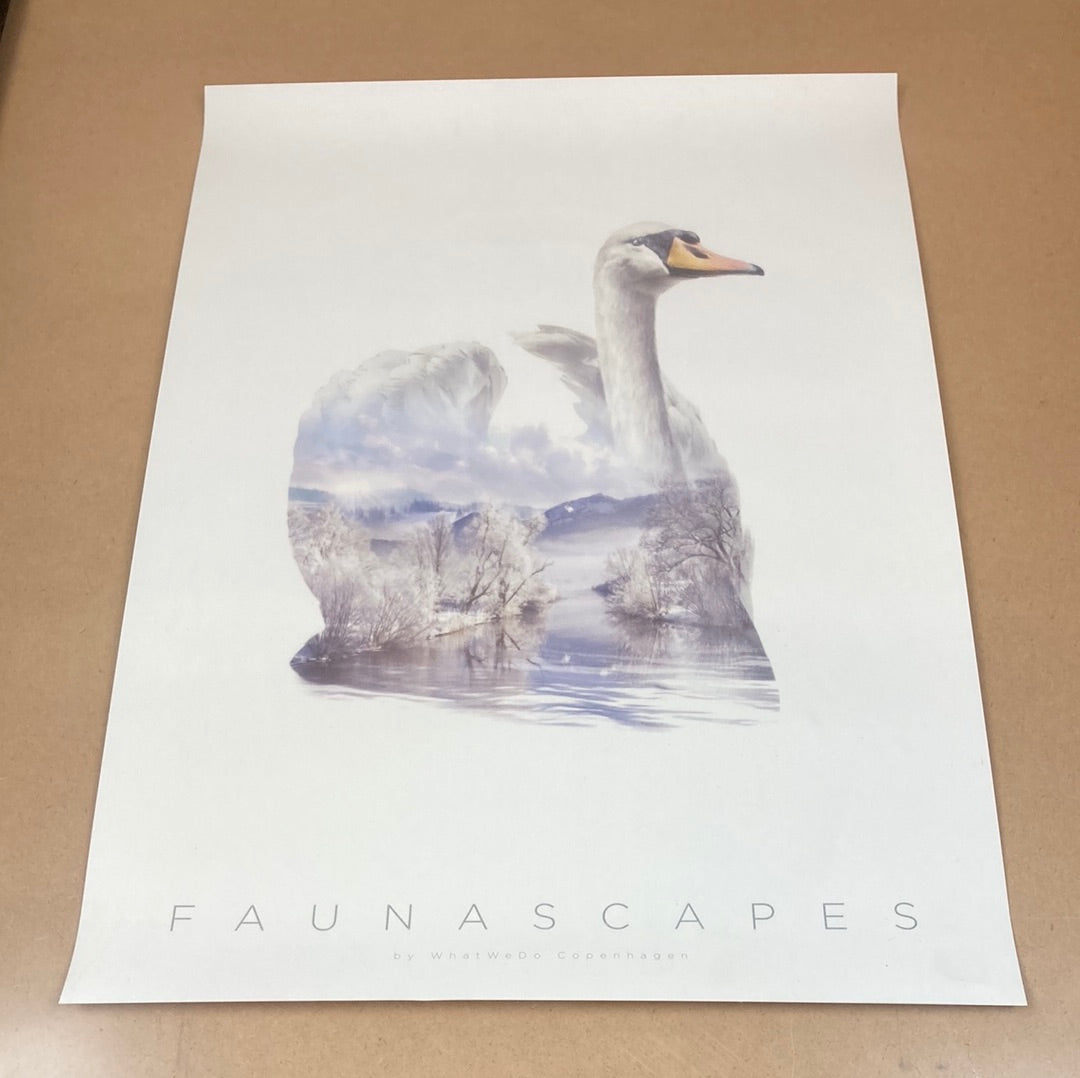 Faunascapes Swan plakat